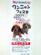 �����j�����t�F�X�^�`�P�b�g