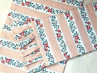 ���J�o�[�i�s���N�X�g���C�v�j